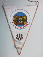 /album/zinkovy/zinkovy-tj-sokol-28-jpg/